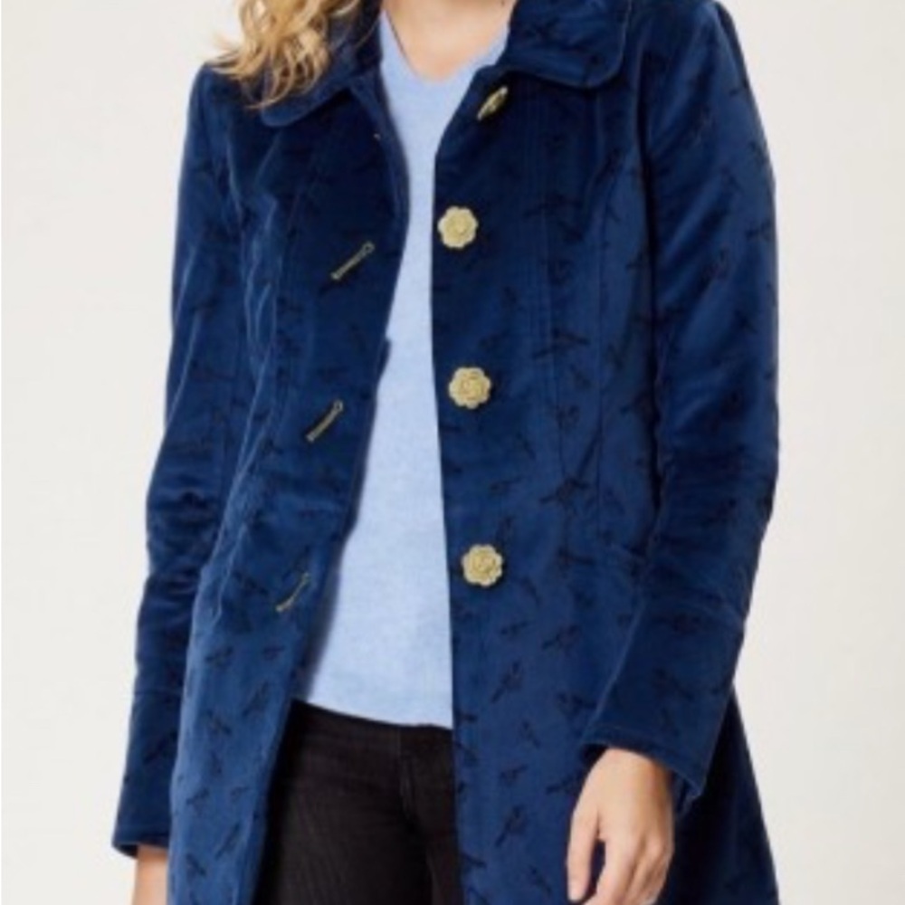 Gorgeous Blue Velvet Coat!